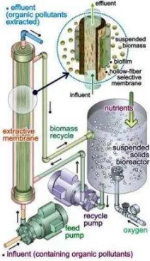 Gambar 5. Bioreaktor membran (a) konfigurasi eksternal, dan (b) konfigurasi terendam [9] 