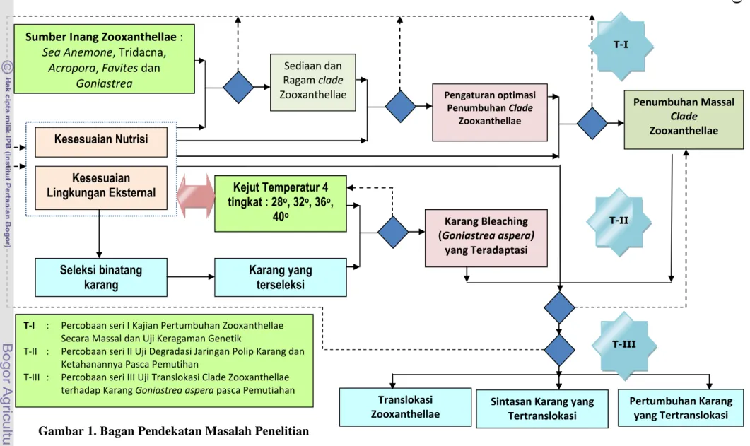 Gambar 1. Bagan Pendekatan Masalah Penelitian