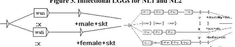 figure 3:Figure 3. Inflectional LGGs for NL1 and NL2