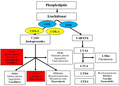Gambar 2.2.5 Proses metabolisme phospolipid (Owens et al, 2006). 