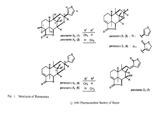 Gambar 2. Strukur Senyawa Peronemin (Kitagawa, 1994)  2.6 Malaria 