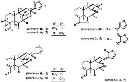 Gambar 2. Struktur kimia Peronemin (Kitagawa dkk, 1994). 