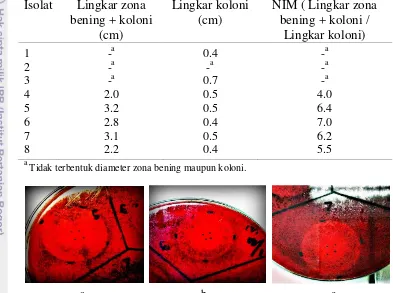 Tabel 2 Nilai indeks mananolitik (NIM) bakteri penghasil manan pada  media LBG 0.5% pH 6 yang diinkubasi selama 48 jam 