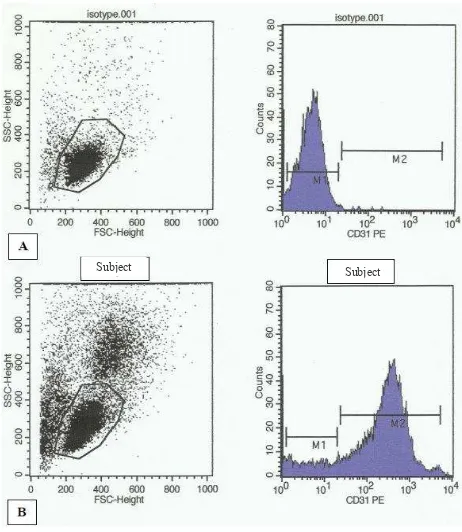 Figure 1. Flowcytometry analysis of CD31+ cells in periph-eral blood. Mononuclear cells isolated from peripheral blood were gated in a forward-scatter (FSC)/side-scatter (SSC) plot: the cell population corresponding to small lymphocytes was gated and analy