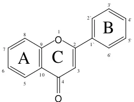 Gambar 2.1. Kerangka dasar Flavonoid (Markam, 1988).