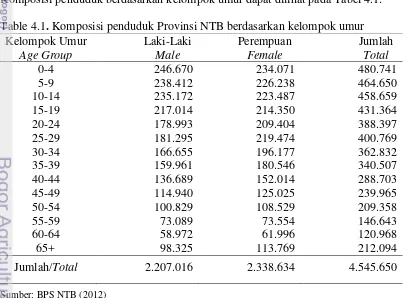 Table 4.1. Komposisi penduduk Provinsi NTB berdasarkan kelompok umur 