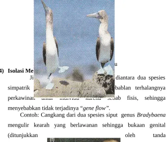 Gambar 4. Contoh Isolasi Mekanik 