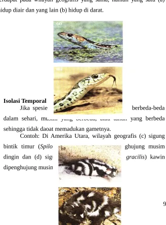 Gambar 1. Contoh isolasi habitat