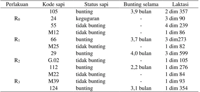 Tabel 3. Status sapi yang digunakan saat penelitian 