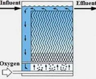 Gambar 2.4 Proses Kerja Fixed Bed Cascade Bioreactor (Anonim, 2013). 