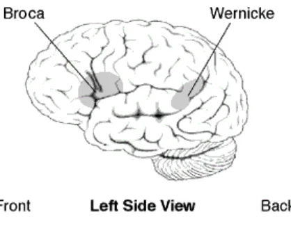 Figure 1. “Broca and Wernicke area” © by wikipedia.com 