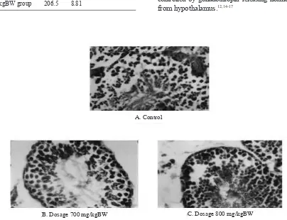 Figure 1. Spermatogenic cells in seminiferous tubulus transverse section of mice testis with H