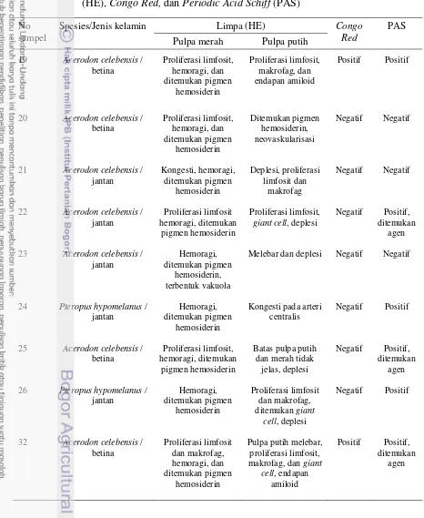Tabel 1  Gambaran histopatologi limpa dengan pewarnaan Hematoksilin-Eosin 