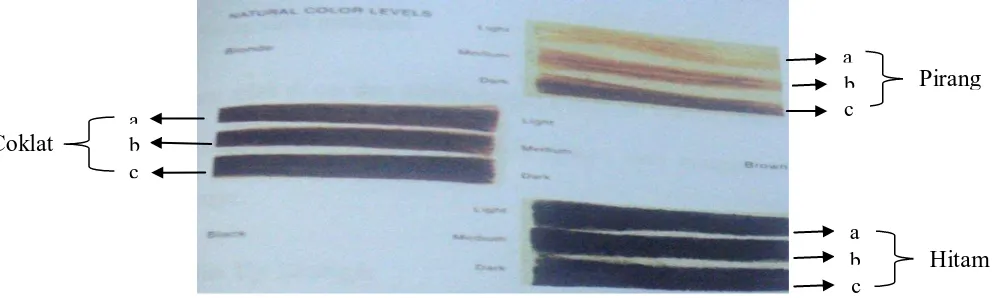 Gambar I. Natural Color Levels (Dalton, 1985) 