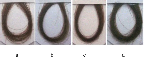 Gambar IV. Pengaruh waktu perendaman terhadap hasil pewarnaan rambut uban 