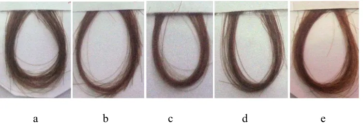 Gambar V. Warna rambut sebelum dan setelah pencucian 
