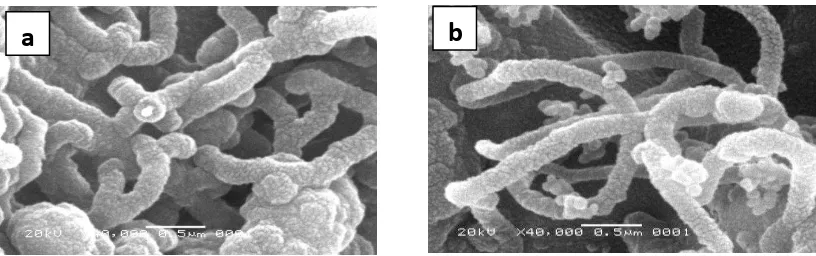 Gambar  3. Hasil foto SEM CNT dengan perbesaran 40.000x a) katalis Co/Zeolit 3% b) katalis Co/Zeolit 3,5%  