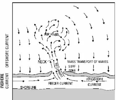 Gambar 2.5. Skema pembentukan rip currents  [23] . 