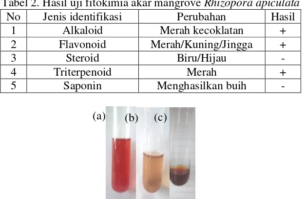 Tabel 2. Hasil uji fitokimia akar mangrove Rhizopora apiculata 