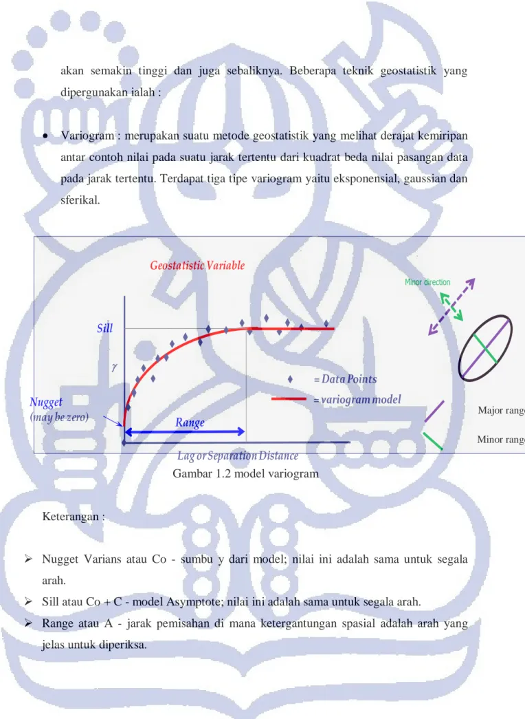 Gambar 1.2 model variogram 