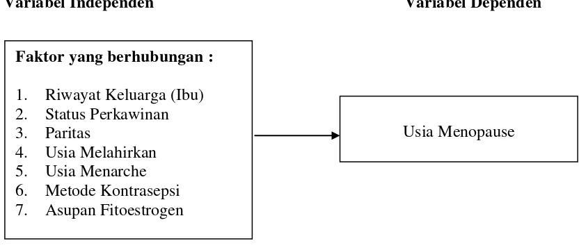 Gambar 2.1 Kerangka Konsep Penelitian  