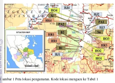 Tabel 1 Lokasi pengamatan Hymenoptera di Jambi 