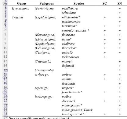 Tabel 3 Keberadaan Trigona berdasarkan database stingless bee (SC= Schwarz 
