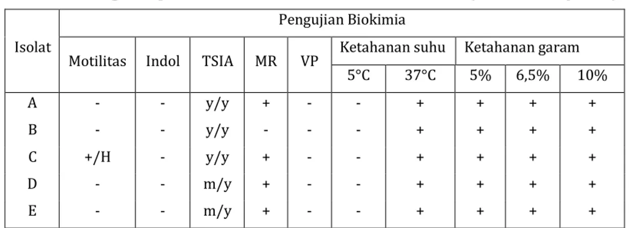 Tabel 1. Data Organoleptik Ekstrak Etanol Pada Daun Sawo Manila (Manilkara zapota L.)  Isolat 
