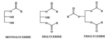 Gambar 1.  Struktur molekul monogliserida, digliserida, dan trigliserida 