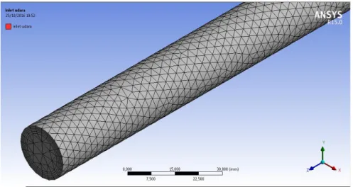 Gambar 3.8 Hasil meshing body  3.2.2   Processing 