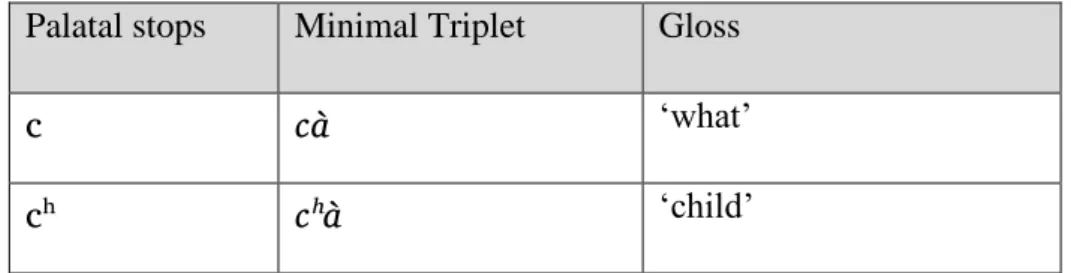 Table 5: Minimal Pair for Palatal Stops  Palatal stops  Minimal Triplet  Gloss 