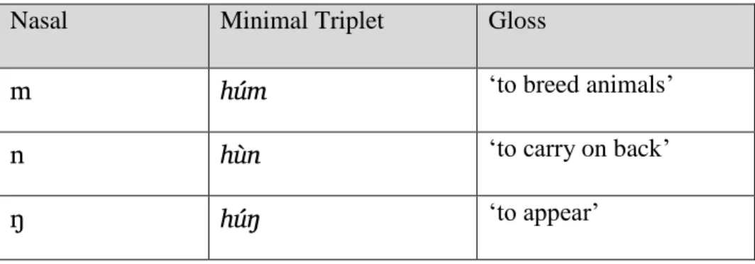 Table 14ː Minimal Triplet for Coda Nasals (1) 