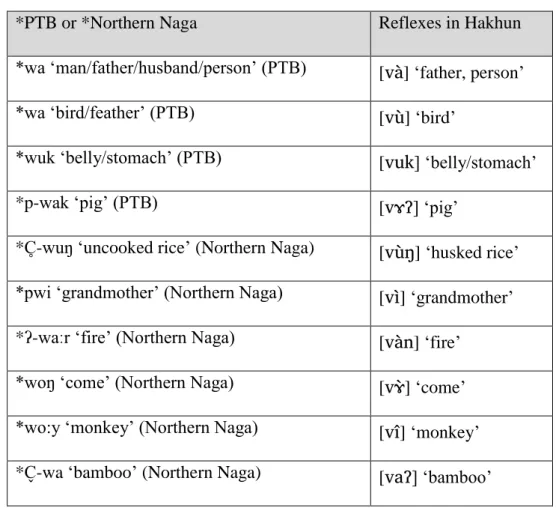 Table 18: Reflexes of words with *w in Hakhun 