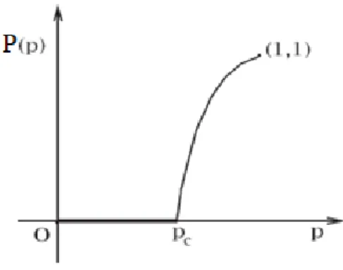 Gambar 2.5 Grafik probabilitas perkolasi P(p) terhadap perkolasi p. 