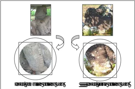 Gambar 8  Varian atribut gelang kaki menunjukkan fungsi patung megalitik  sebagai monumen lambang kekuasaan si tokoh/leluhur