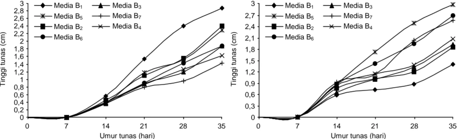 Gambar 5. Rata-rata tinggi tunas tebu varietas Bulu Lawang (kiri) dan PS 951 (kanan) pada berbagai formulasi media hingga umur 35 hari