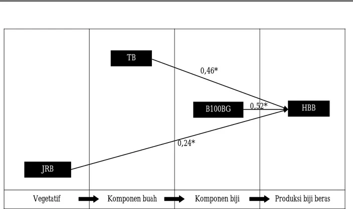Gambar 1.  Diagram lintas pengaruh jumlah ruas pada batang (JRB), tebal buah (TB), dan berat 100 butir gabah (B100BG) terhadap  hasil biji beras/pohon/thn (HBB) 