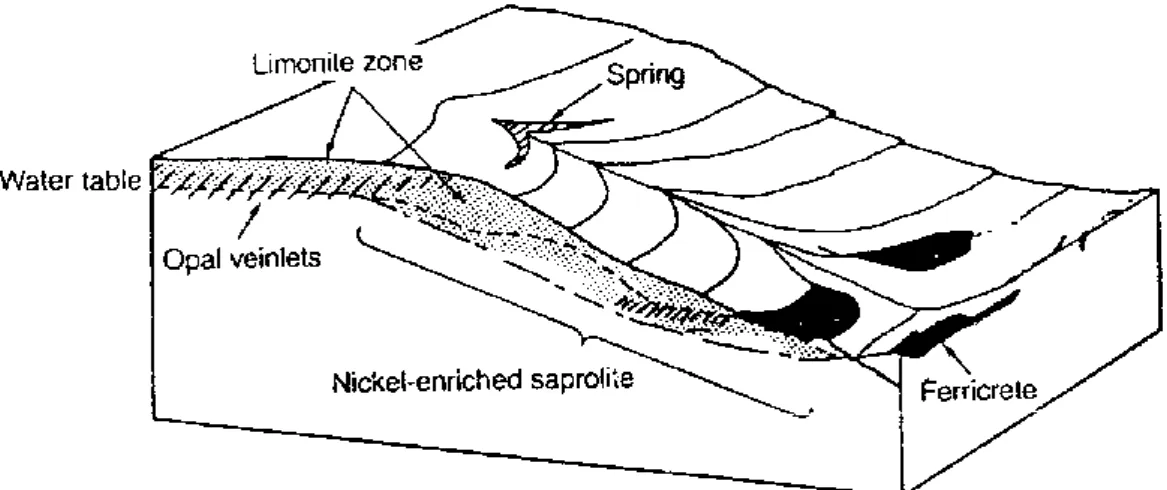 Gambar 2.4. Pengaruh Topografi Terhadap Pembentukan Endapan Nikel Laterit  (Guilbert,1986) 
