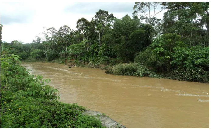Gambar 3.2 Sungai Krueng Langsa 