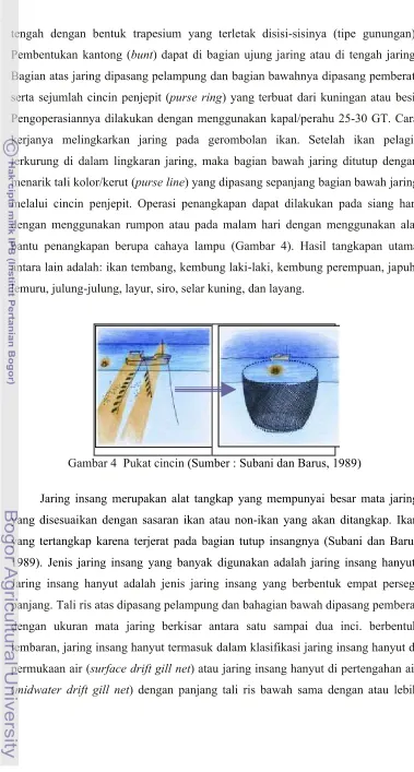 Gambar 4  Pukat ccincin
