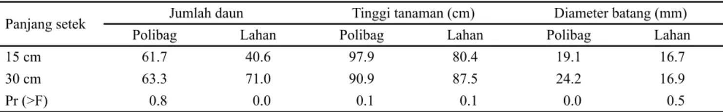 Tabel 1. Keragaan pertumbuhan ubi kayu genotipe lokal Manggu pada percobaan di lahan dan di polibag umur 12 MST