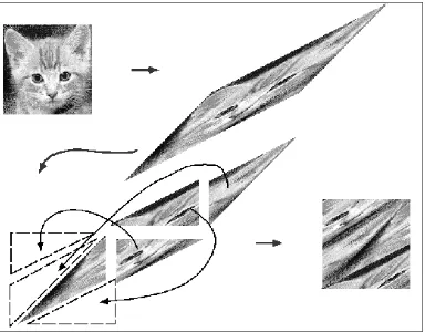 Gambar 3.2  Contoh perubahan menggunakan metode Arnold Cat’s Map 