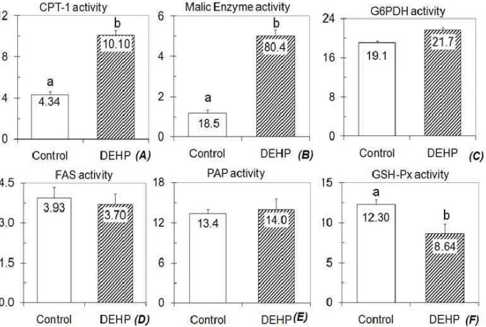 Figure 3 shows the activities of enzymes determined in present study. Compared to control, both malic enzyme and CPT-1 activities of DEHP group increased signiﬁ cantly (P<0.05), in which the increases were 