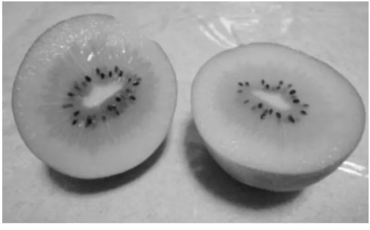 Gambar 2: Zespri Gold