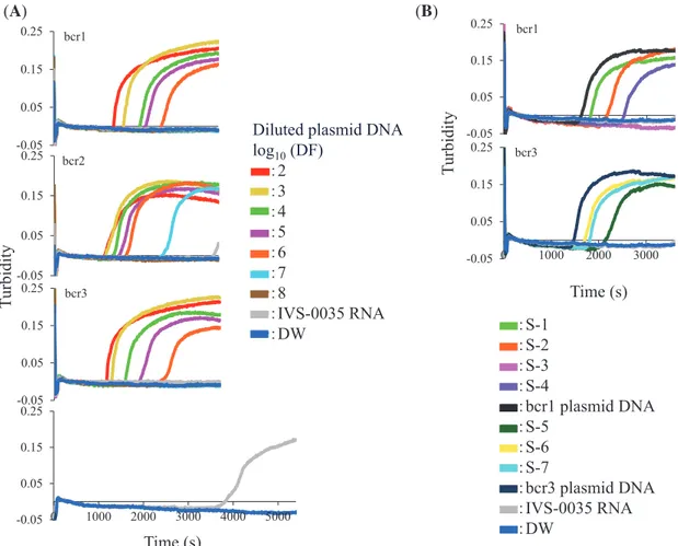 Fig. 2. Detection of PML-RARα in plasmid DNA and clinical RNA samples by RT-LAMP. (A) Ten-fold serial dilutions of bcr1, bcr2, and 