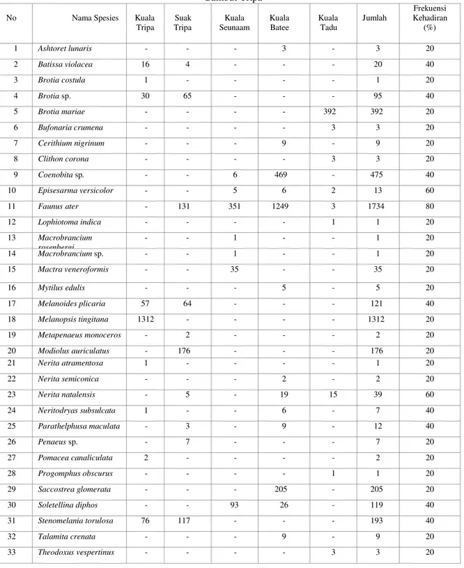 Tabel 2. Jumlah individu dari setiap spesies pada tiap stasiun dan frekuensi kehadiran di kawasan Rawa  Gambut Tripa 