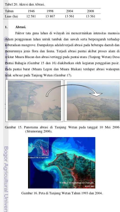 Gambar 16. Peta di Tanjung Wetan Tahun 1993 dan 2004.  