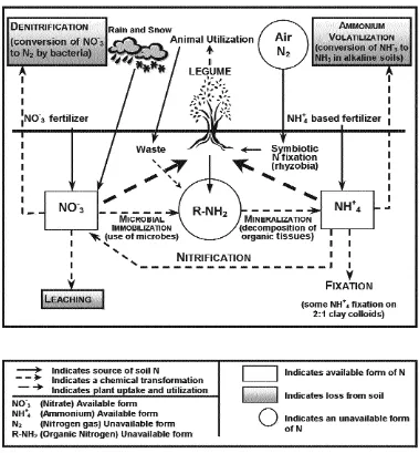 Fig. 5. The Nitrogen Cycle (Hach Company, 1992).