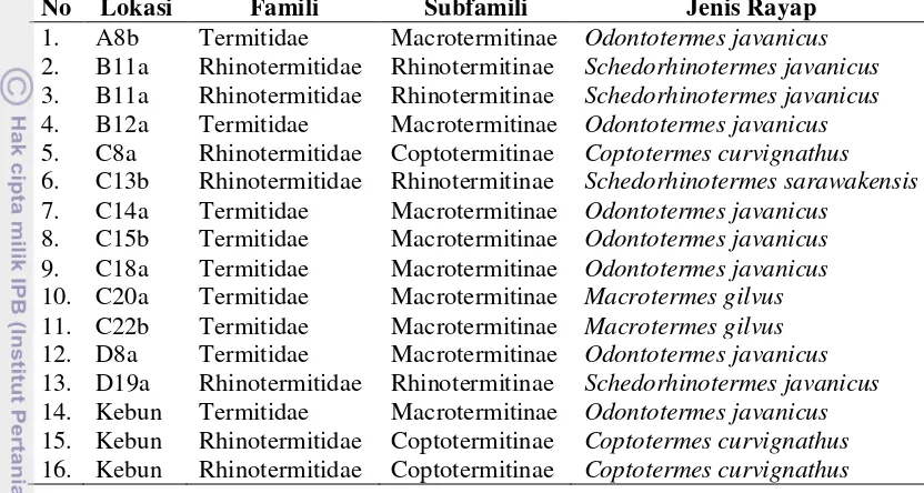 Tabel 4   Keragaman dan sebaran jenis rayap di Perumahan Taman Darmaga Permai I, Ciampea, Bogor 