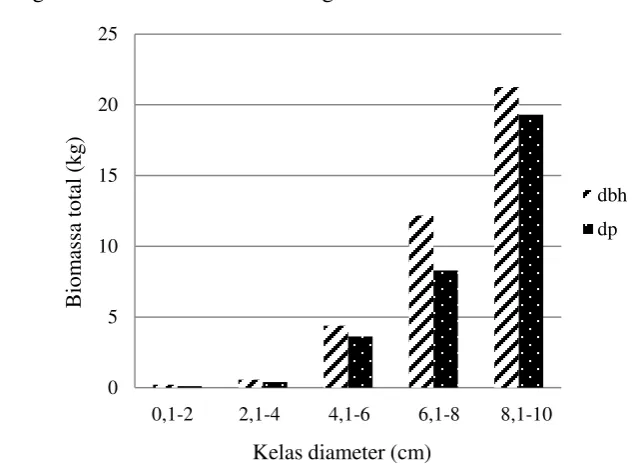 Gambar 1  Biomassa total pohon agathis menurut kelas diameter  